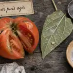 Punaise de jardin sur tomate avec œufs et eau savonneuse